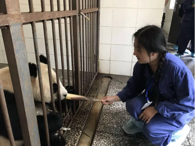 國際義工,國際志愿者