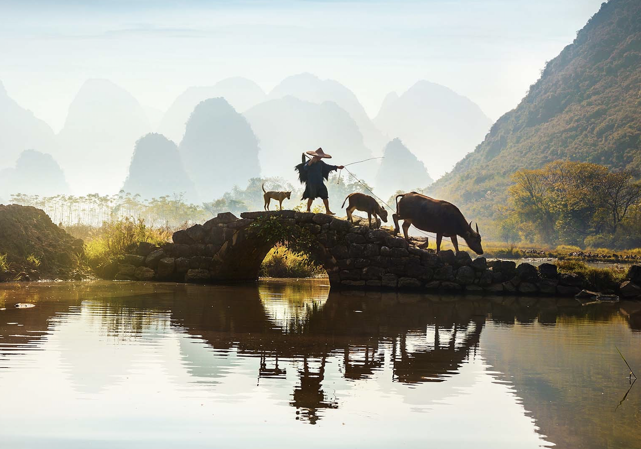 國際義工,國際志愿者
